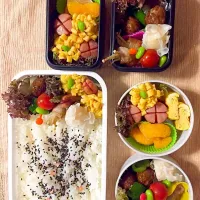 Snapdishの料理写真:6/12 中華風弁当|Tomoko Kawaminamiさん