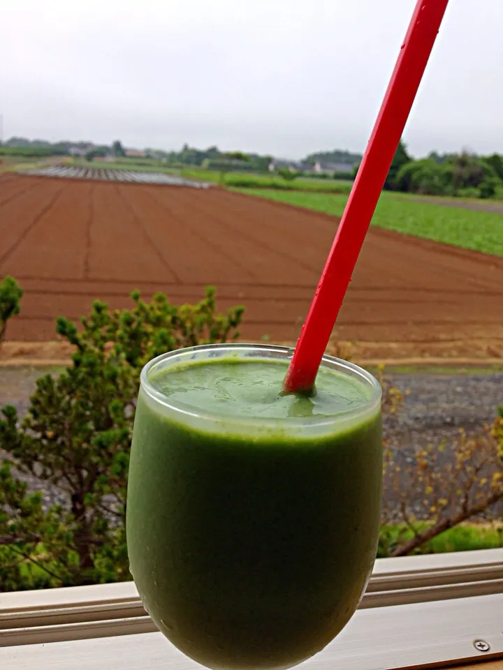 So creamy avocado smoothie💚|viviさん