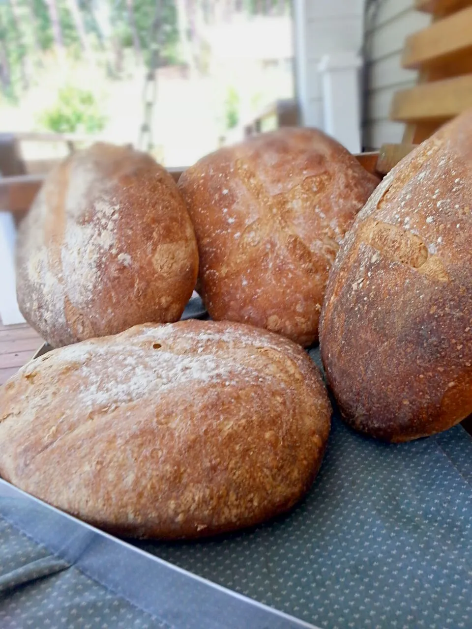 vermont sourdough pt 3!|madhmangalさん