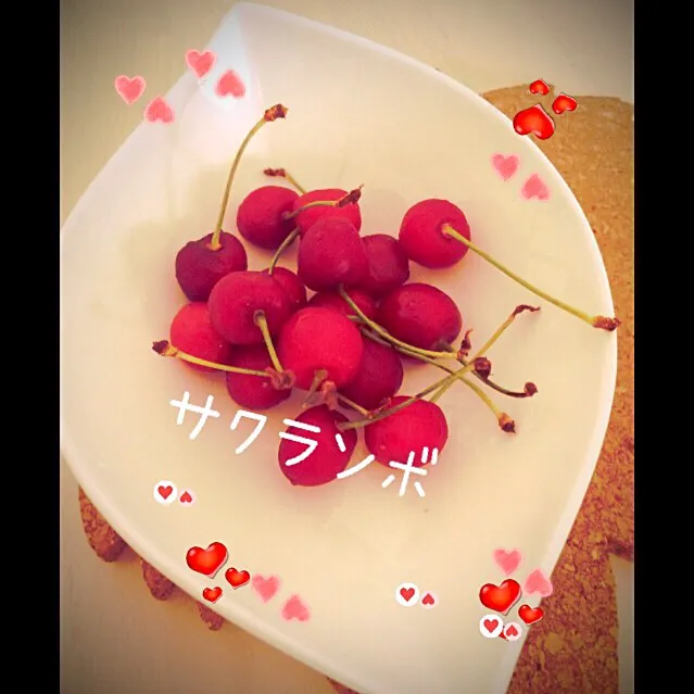 旬のサクランボ🍒そのままでね❤️|桜央里さん