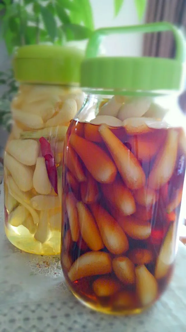 🌼.*お父さんの大好物シリーズ……
自家製らっきょう🌼.*|kimikimi󾬍さん