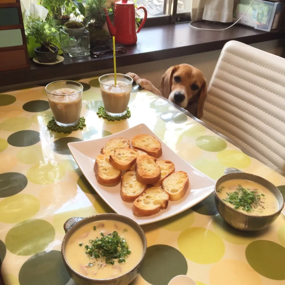 じゃがいも、玉葱、チーズ、牛乳、ソーセージ、青葱でポタージュʕ•̫͡•ʕ•̫͡•ʔ•̫͡•ʔ|うさ爺さん