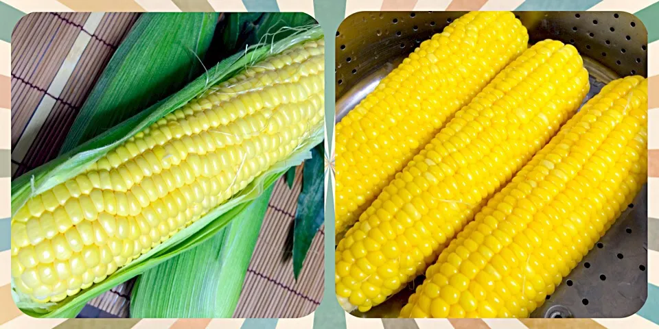 初物🌽ゴールドラッシュ|井。よし🍇さん