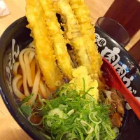 Snapdishの料理写真:肉肉うどん  with ゴボウ天|hamさん