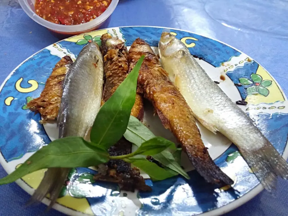 Ikan Belanak Asin|FooDin'sさん