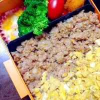 Snapdishの料理写真:二色そぼろ弁当|稲富佳子さん