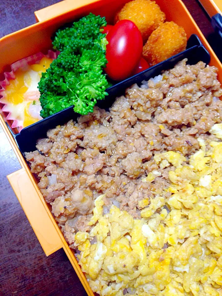 Snapdishの料理写真:二色そぼろ弁当|稲富佳子さん