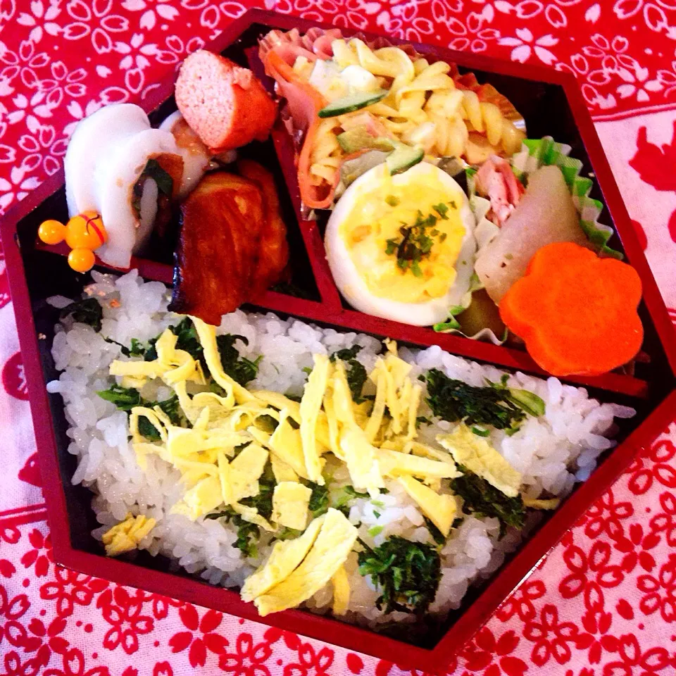 Snapdishの料理写真:パパさんお弁当 6/16|あーるさん