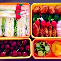 Snapdishの料理写真:♡家族でピクニック弁当（≧∇≦）♡|cocoaさん