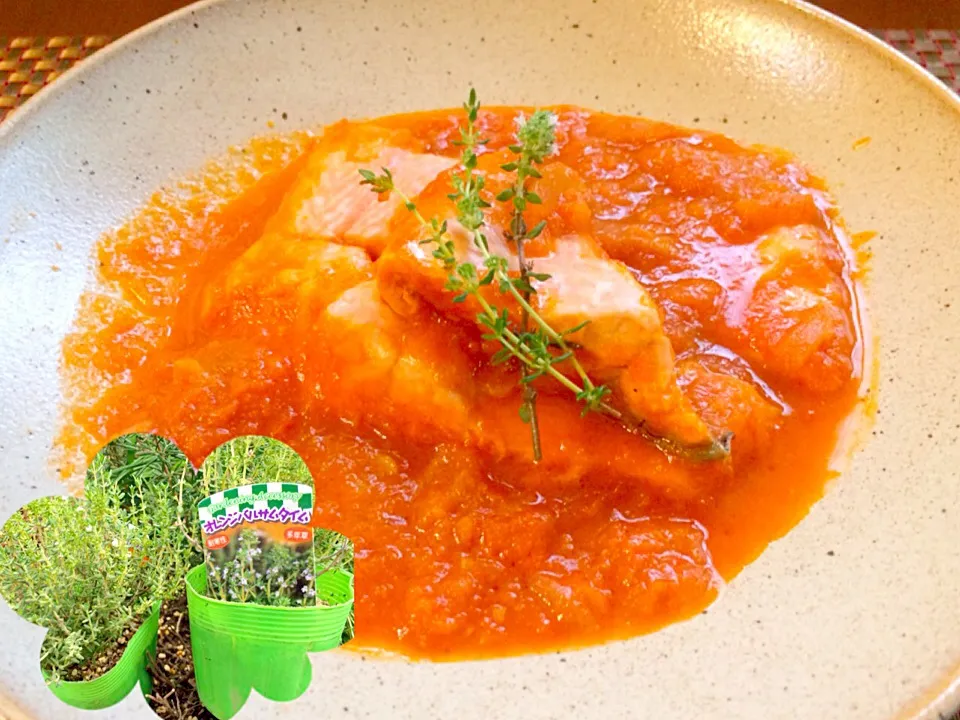 Salmon En Tomate🍅ｻﾙﾓﾝ ｴﾝ ﾄﾏﾃ<鮭のﾄﾏﾄｿｰｽ煮>|🌈Ami🍻さん