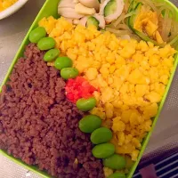 そぼろ弁当|Eribonさん