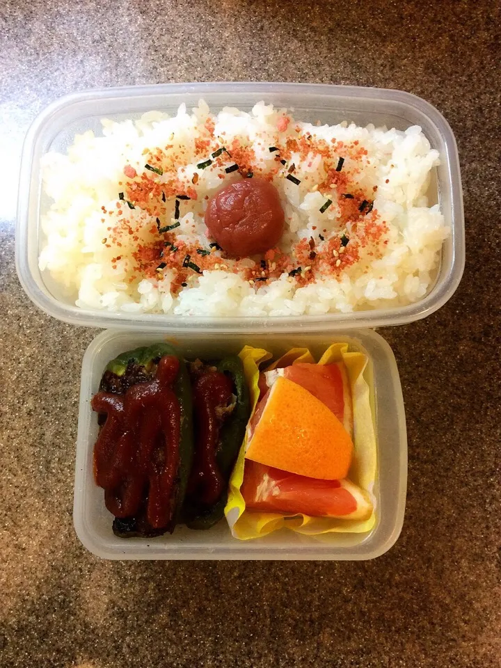 Snapdishの料理写真:ご飯1合弁当 2015.6.17|キラ姫さん