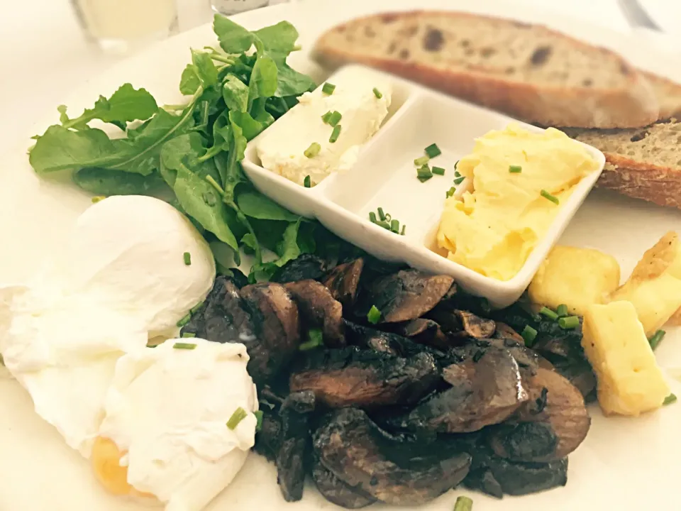 Vegetarian brunch: poached egg, mushroom, halloumi cheese & basil|Sergio Lacuevaさん