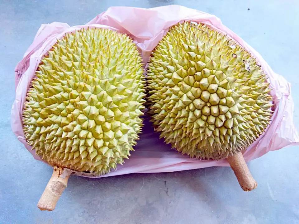 Durian...|Jason Letchumananさん