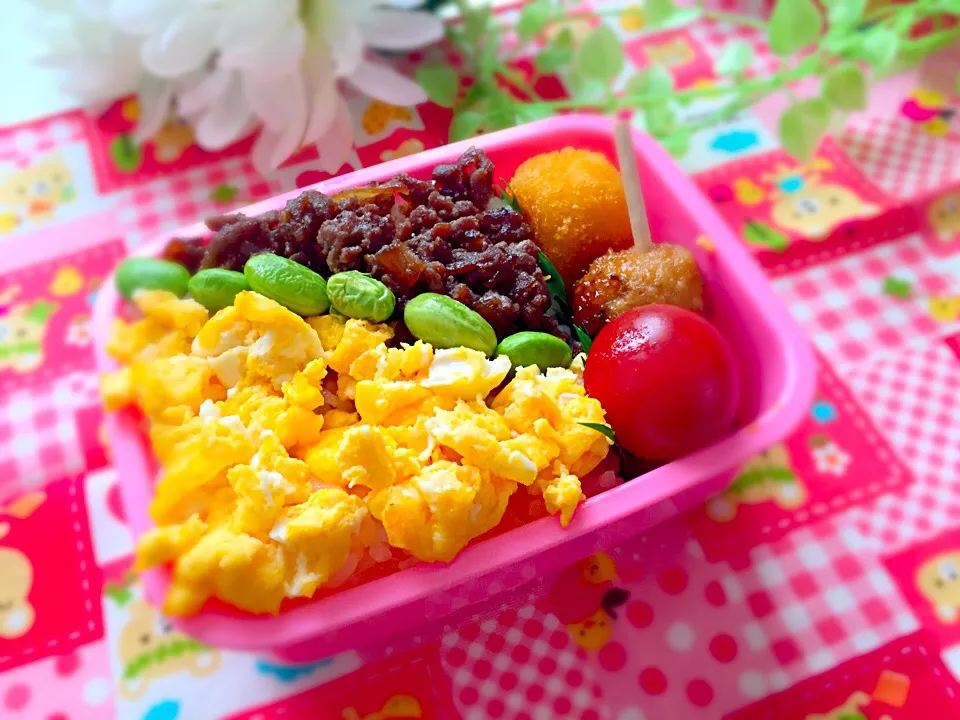 今日の幼稚園弁当|maipuさん