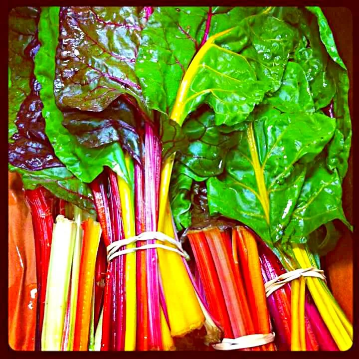 rainbow chard|CHUENCHAIさん