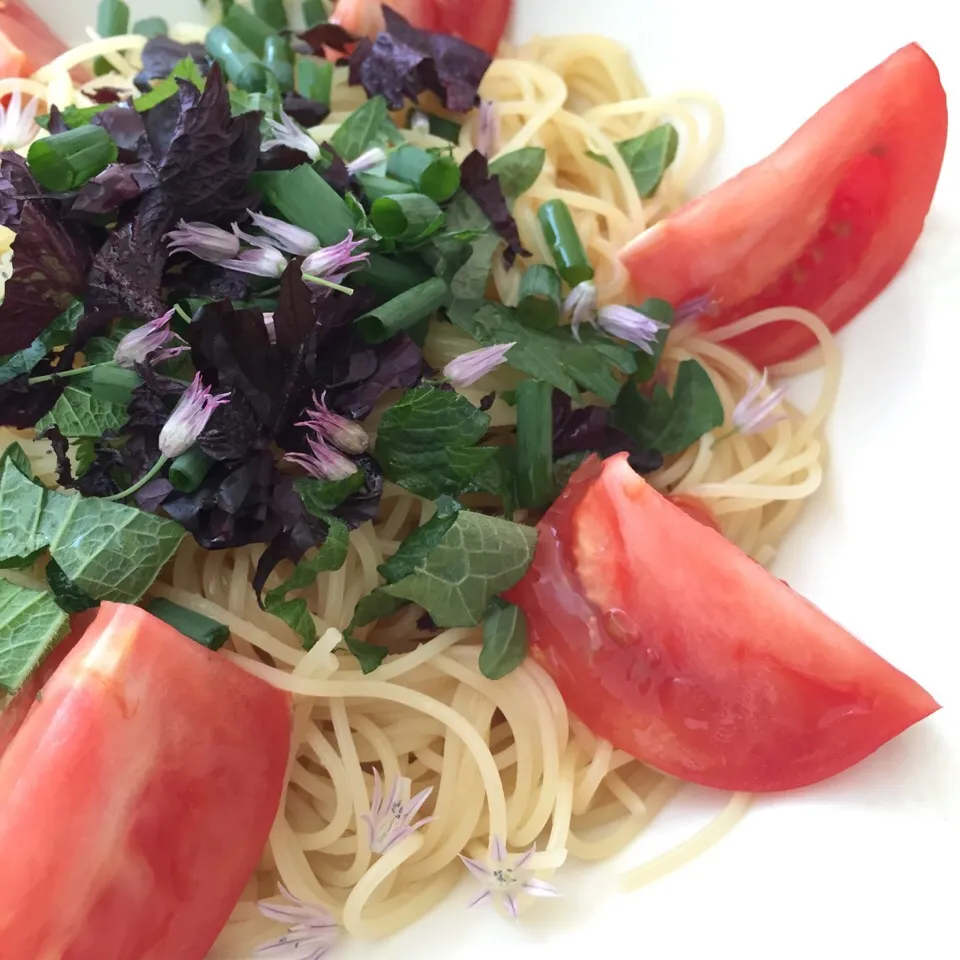 Snapdishの料理写真:ハーブいっぱい冷製パスタ🍴|po-to-boさん