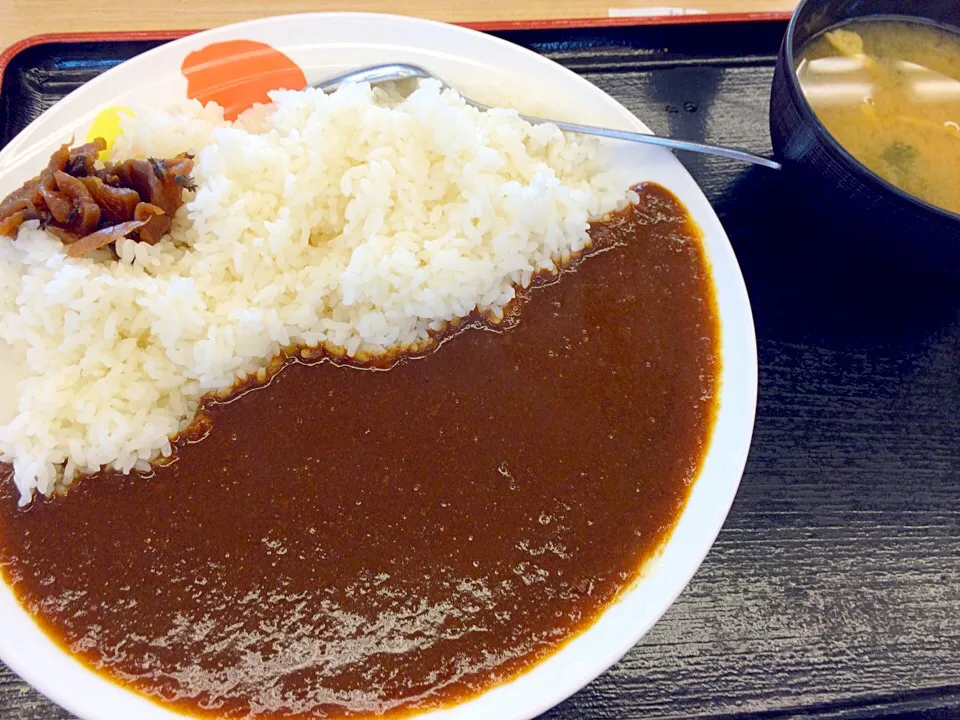 松屋 カレー大盛り|風流料理人さん