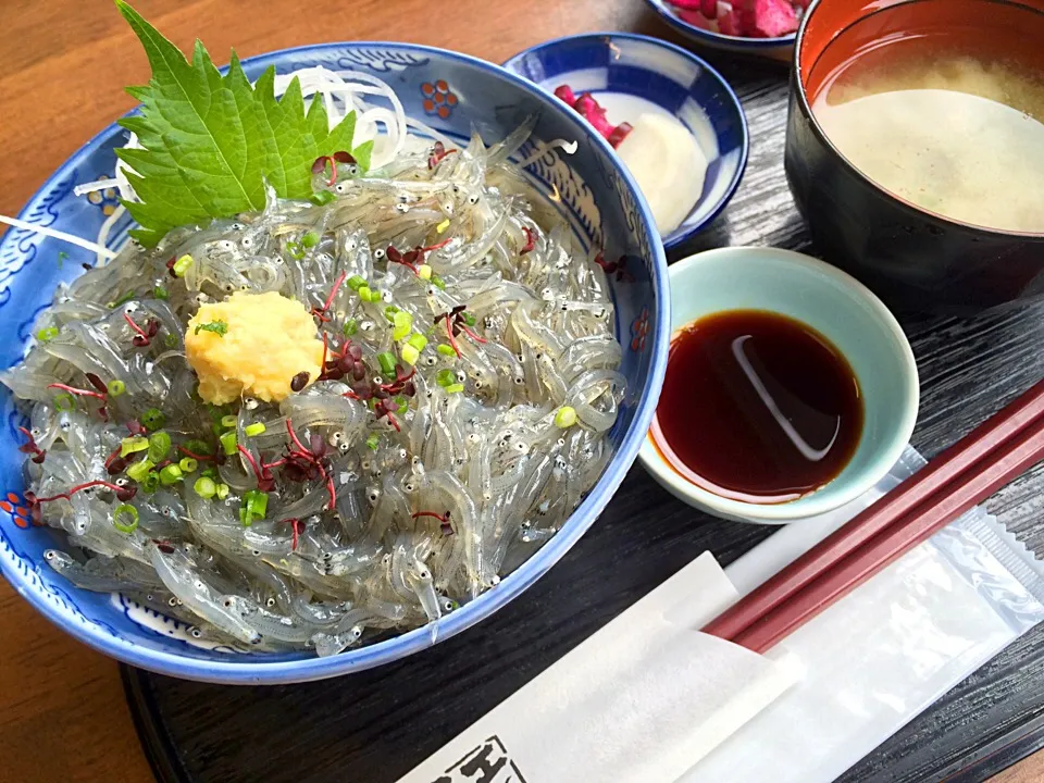 Snapdishの料理写真:江乃島亭 生しらす丼|Hiropanさん