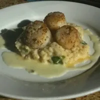 Snapdishの料理写真:Seared Scallops, Truffle & Parmasean Risotto, drizzled with Beurre Blanc #food #foodies #Seafood #dinner #love #yum #yummy #tasty|BASS.TASTEさん