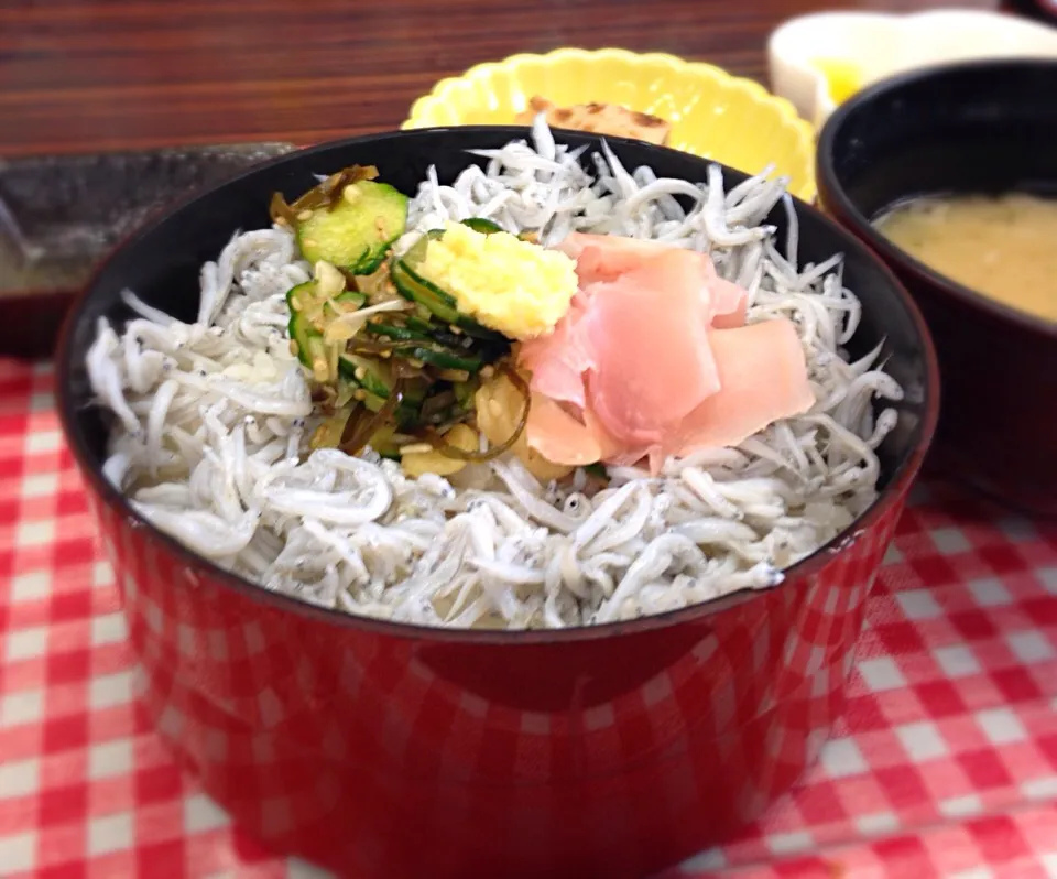 営業マンの昼ごはん  釜揚げしらす丼|ぽんたさん