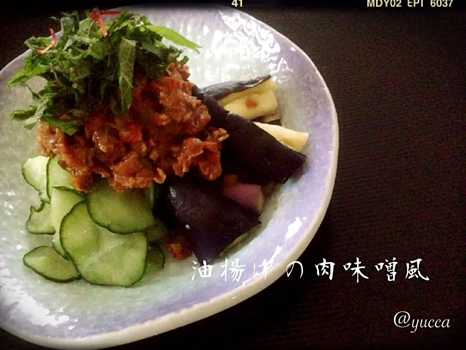 Snapdishの料理写真:山本真希さんの料理 ✱油揚げの肉味噌風✱
ベジ麻婆奴とベジ麻婆茄子|yucca@さん