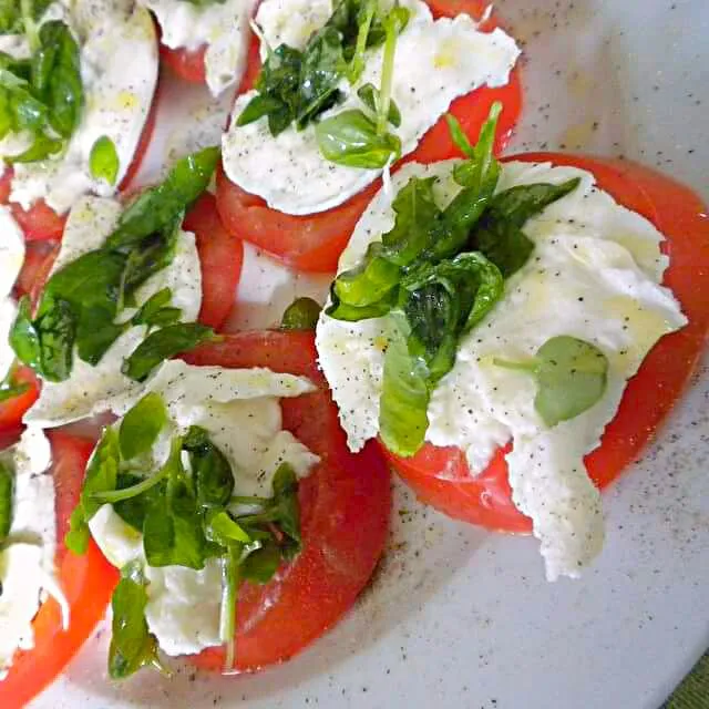 basil buffalo mozzarella, tomato|CHUENCHAIさん