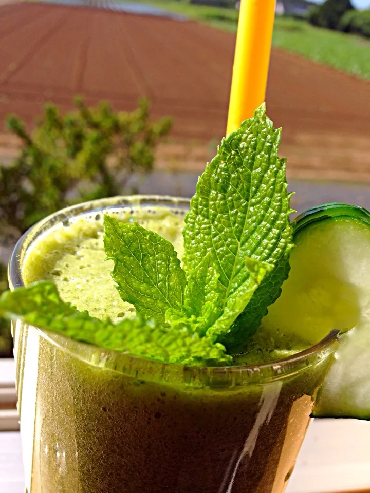 Stomach cleanser smoothie (cucumber ginger mint lemon)|viviさん