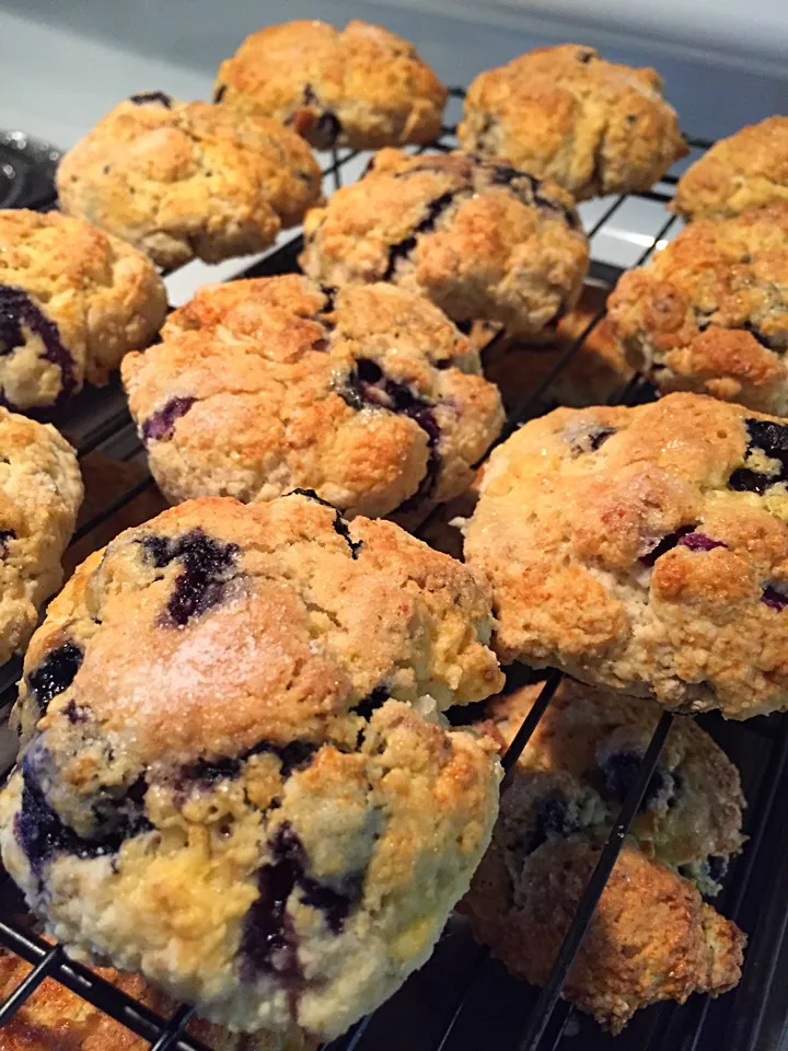 Snapdishの料理写真:Bluberry Scones|Mariさん