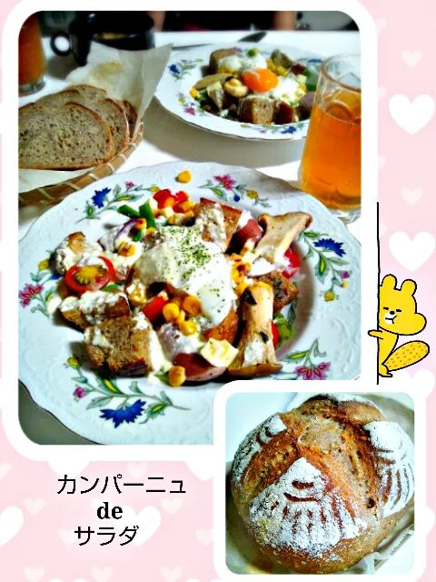 Snapdishの料理写真:カンパーニュのパンサラダ|みったんさん