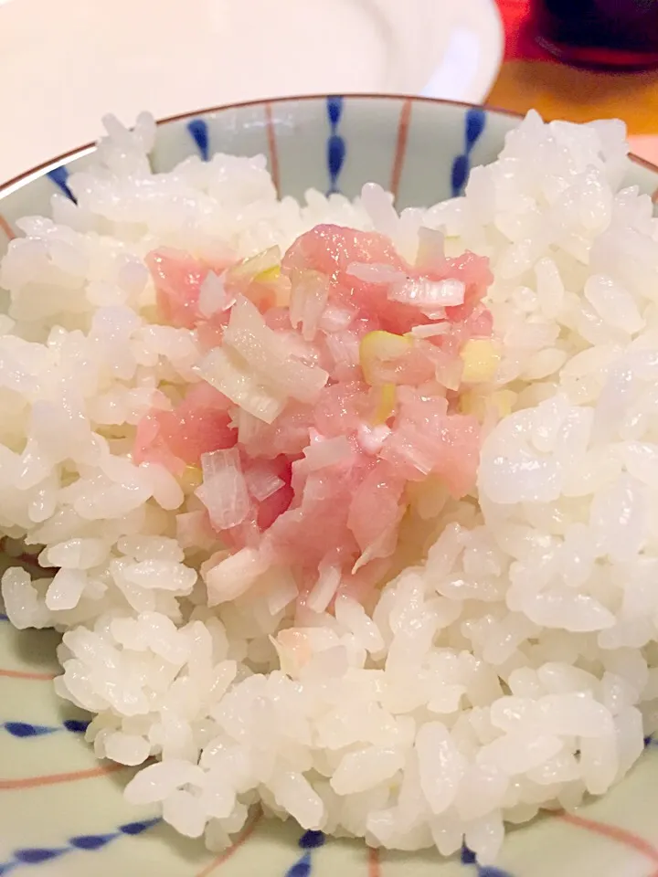 Snapdishの料理写真:ネギトロ丼ならぬ、、、ネギあごの裏丼|スカポンタスさん