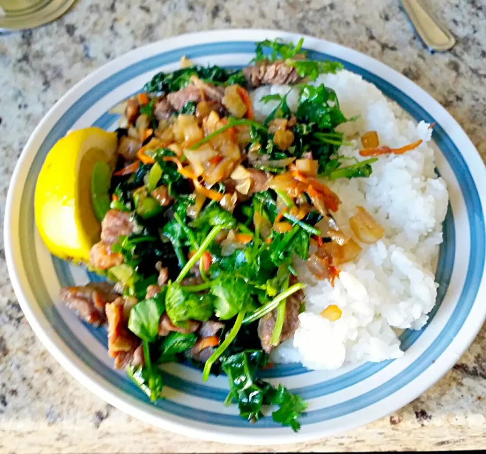 Marinated Beef & Vegetable Stir Fry + Rice|Vanessaさん