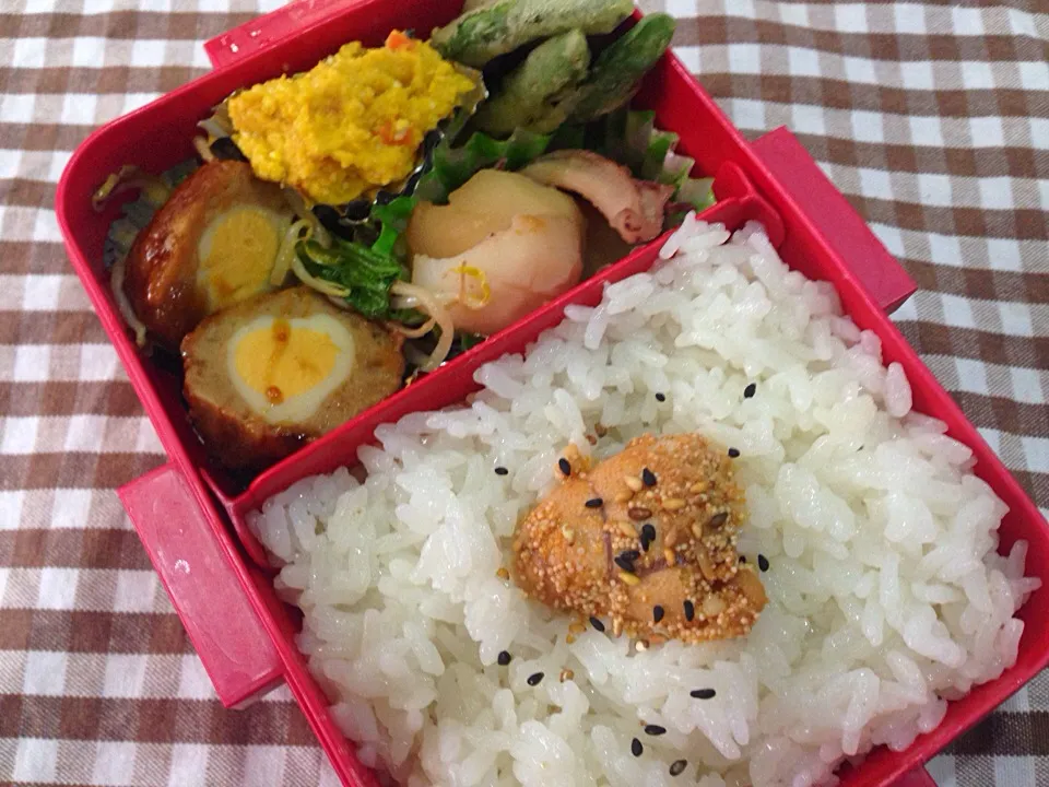 Snapdishの料理写真:6月22日一人弁当|sakuramochiさん