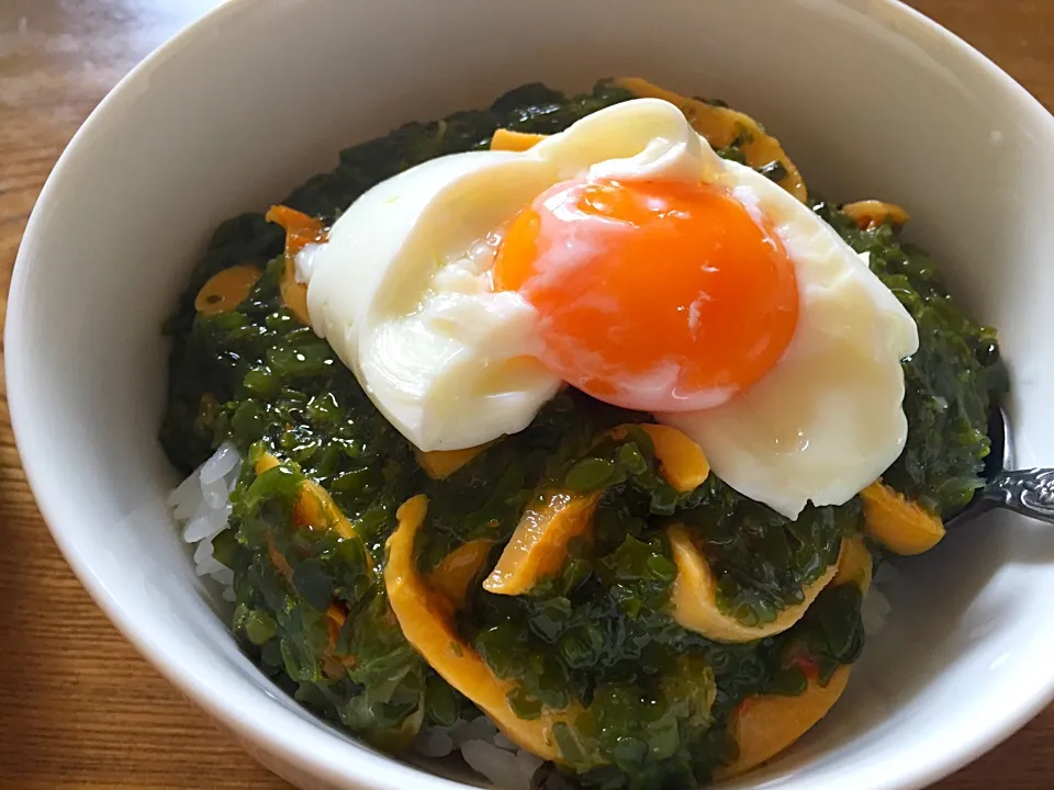 朝からすいません。ホヤめかぶ丼♡|ちもこさん