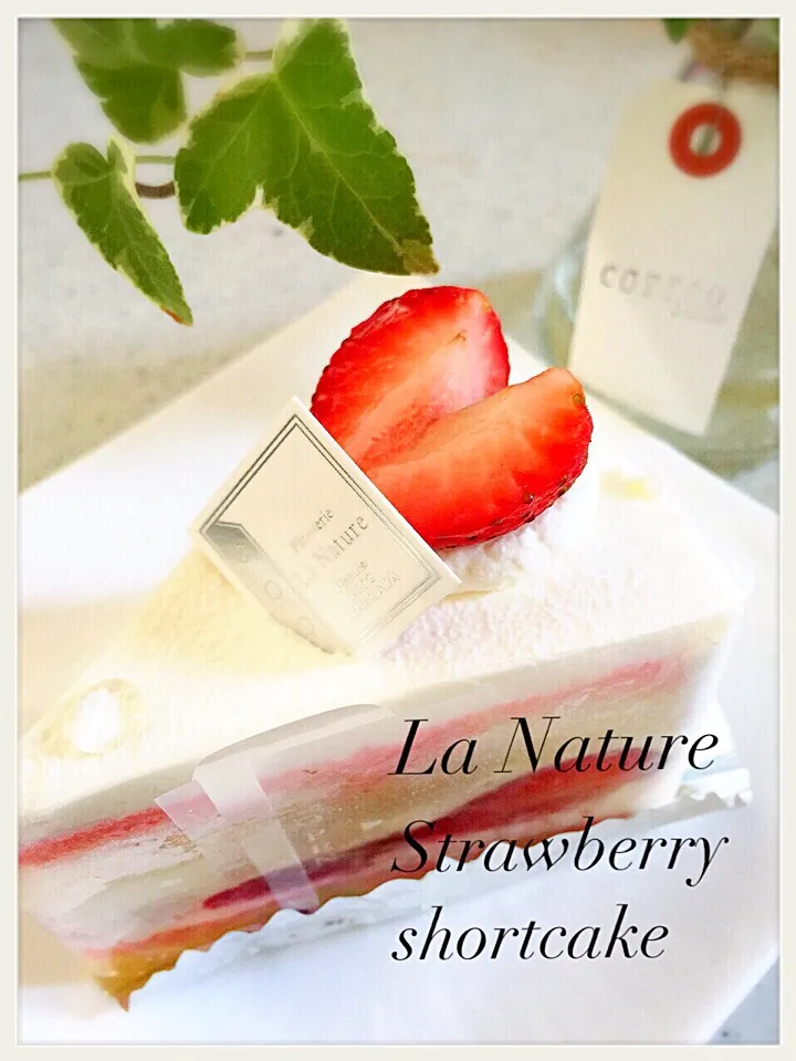 La Nature のショートケーキ🍰✨|Kozuさん