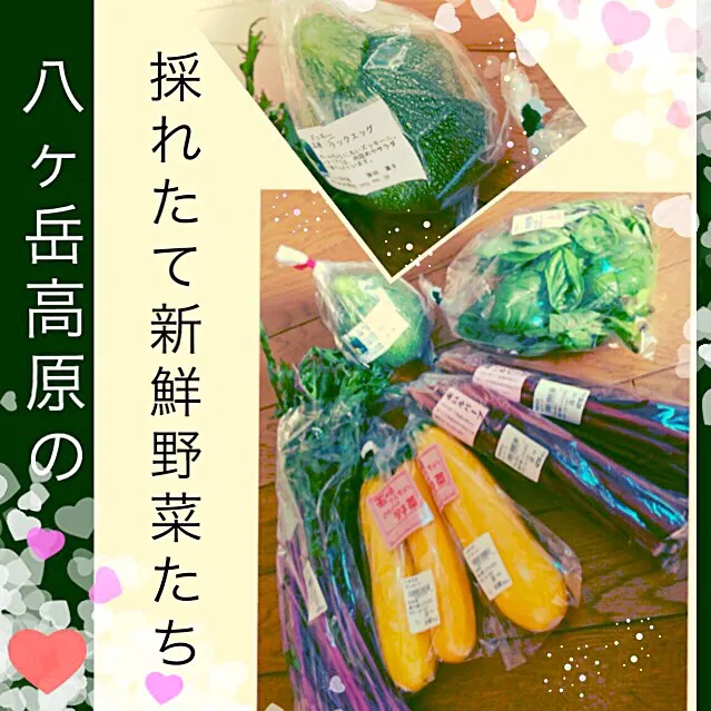 帰省で道の駅に寄り新鮮野菜を買って東京に戻りました😄|桜央里さん