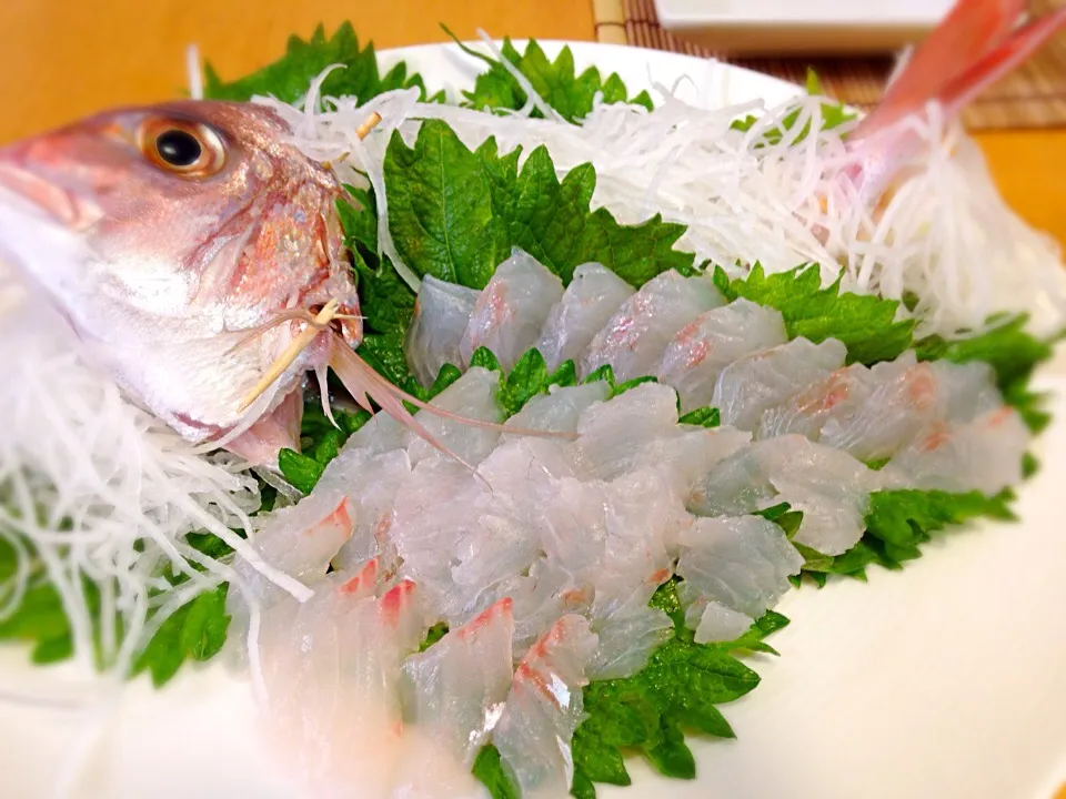 釣魚料理  鯛の姿造り|シンリーさん