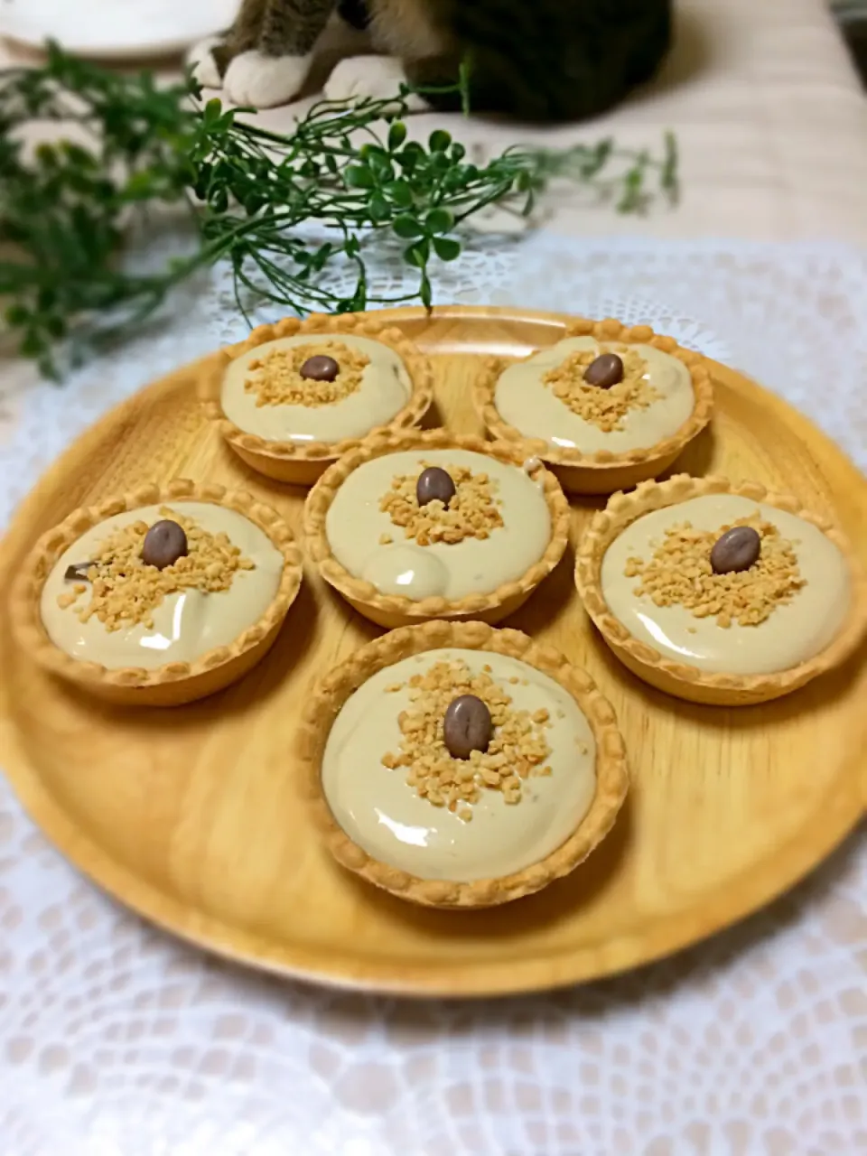 水切りヨーグルトでチョコレートチーズケーキタルト❤靴下にゃんこ入スナップｗｗｗ|まぁちゃんさん