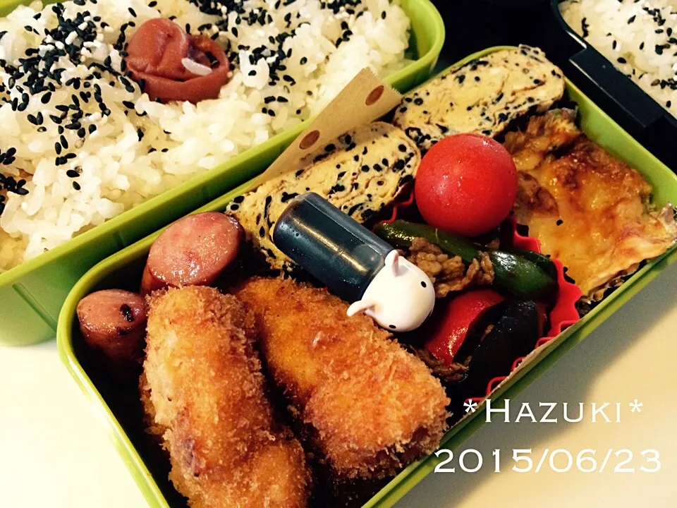 Snapdishの料理写真:高校生息子弁当|Hazukiさん