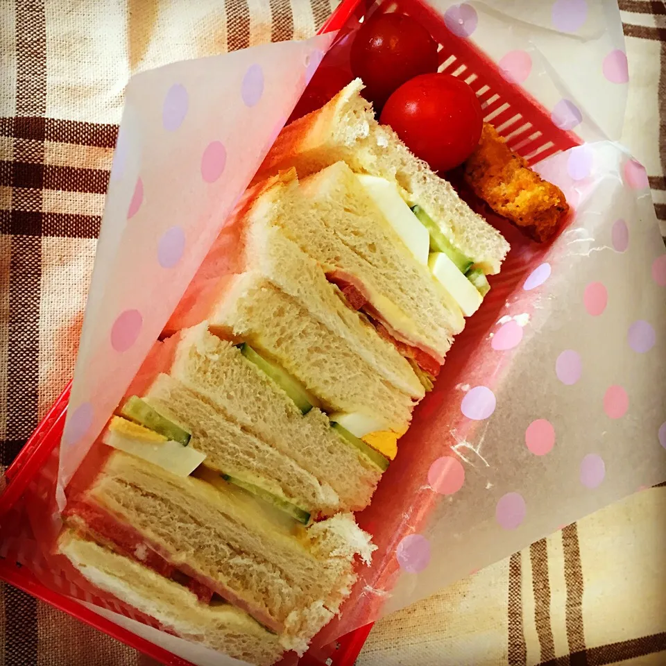 サンドイッチ弁当|びすこさん