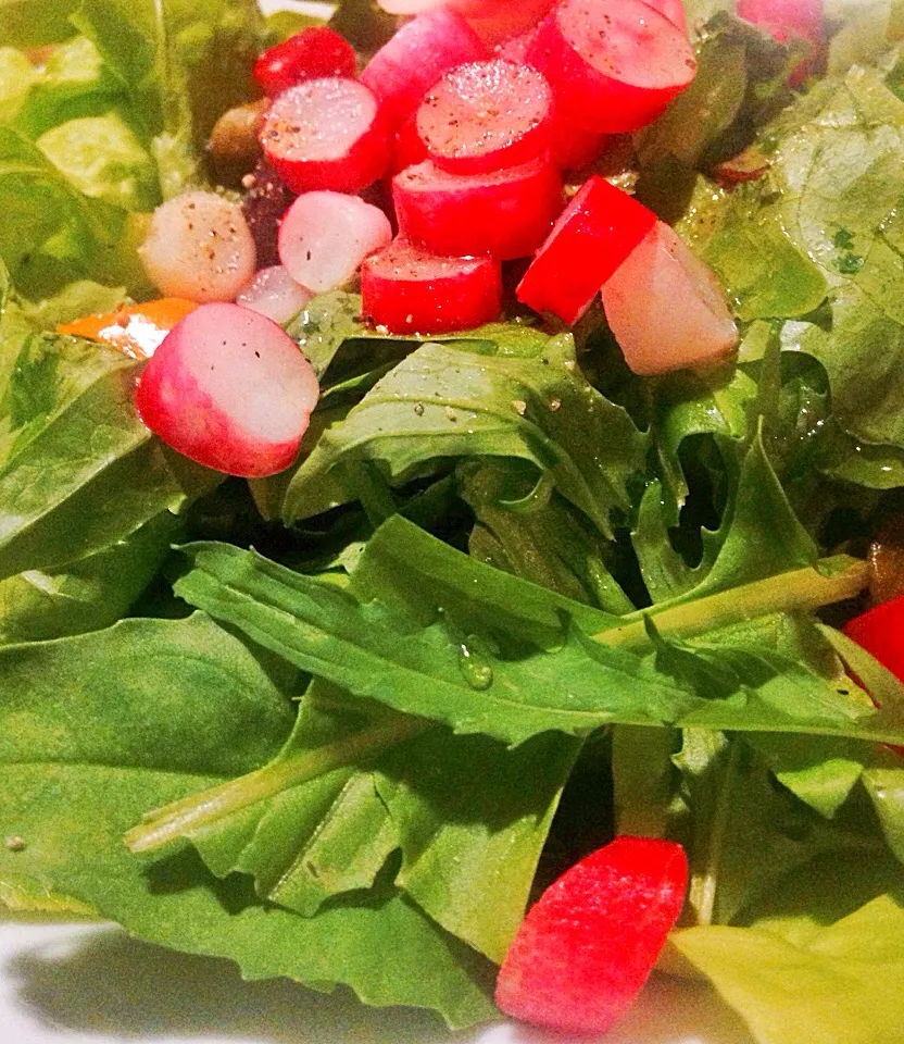 Salad with radish and baby turnips|Peter Simonさん