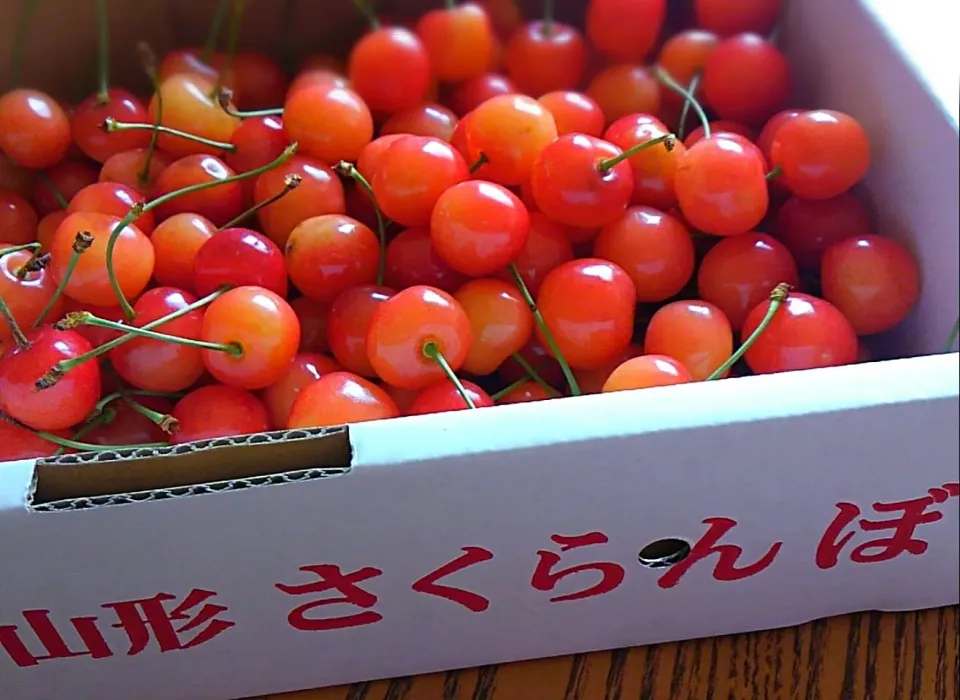 山形のさくらんぼ|ヴェローナのパン屋さんさん