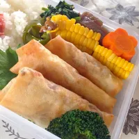 Snapdishの料理写真:春巻き弁当|マダム りらくまさん