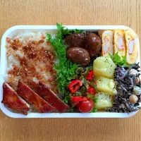 Snapdishの料理写真:おかかごはん弁当|よーこさん