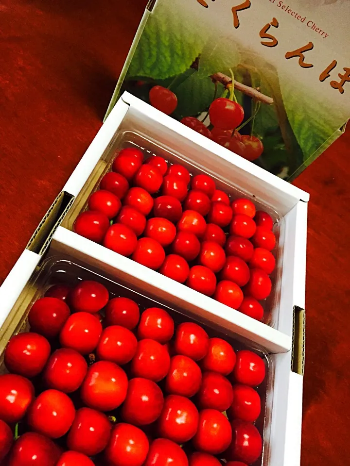 赤い宝石 佐藤錦🍒|ｋｚｓｙｋさん