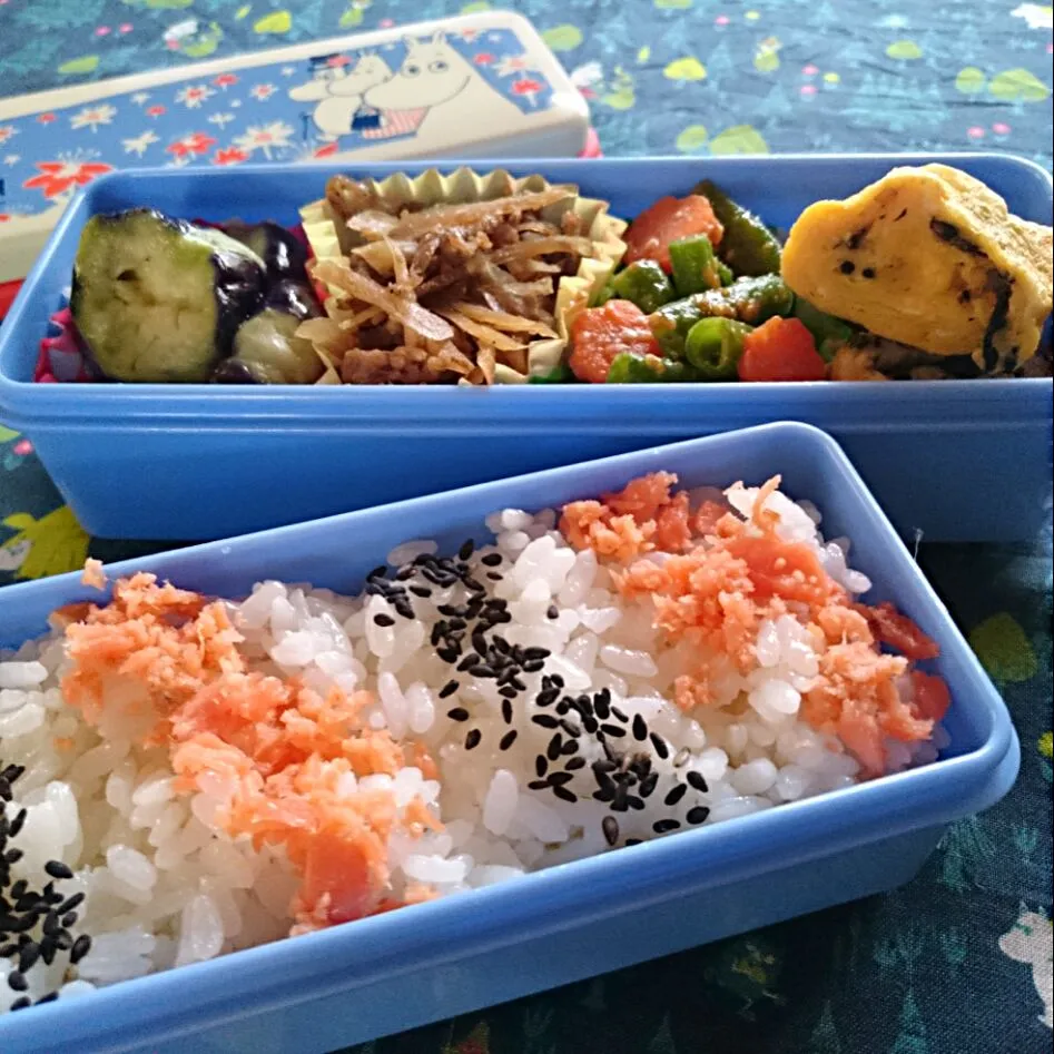 お弁当(6/23)
鮭ごまごはん、ひじき入り卵焼き、金平ごぼう、茄子の生姜漬け、ささげと人参のごま和え|さっちんさん