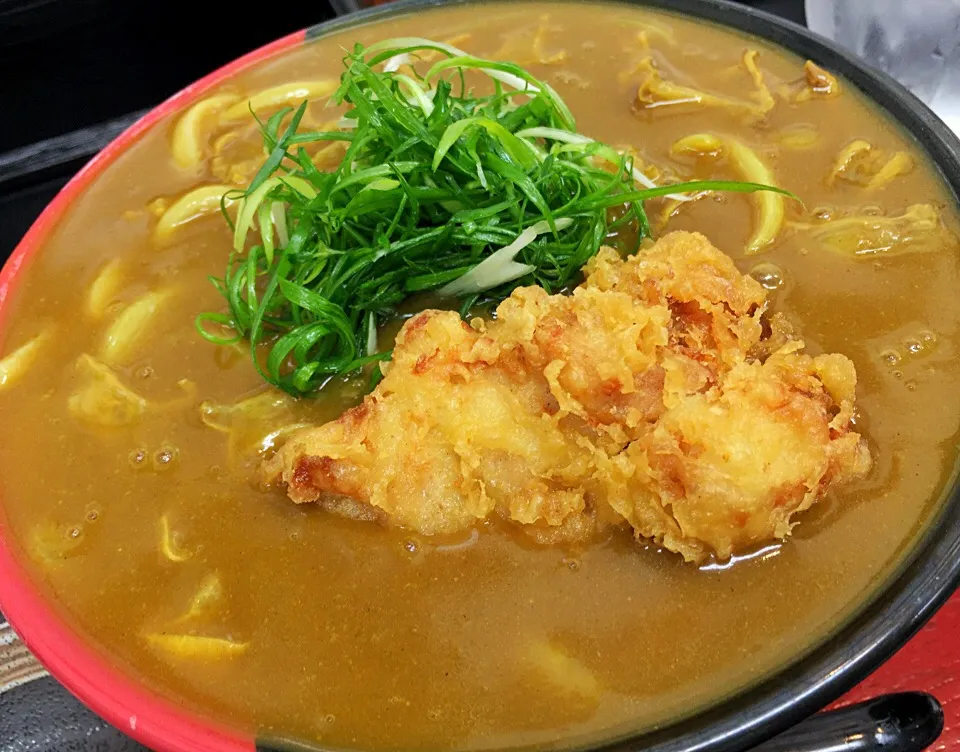 かすカレーうどん かすW ひやあつ 鶏天トッピング。
やっぱたまらんな、ここは。|たけうちさん