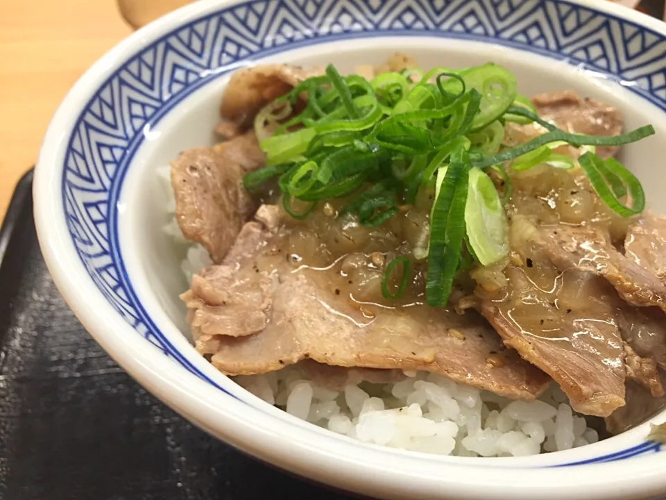 Snapdishの料理写真:ネギ塩ロース豚丼|hirotomoさん