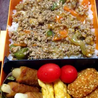 Snapdishの料理写真:麻婆茄子弁当|稲富佳子さん