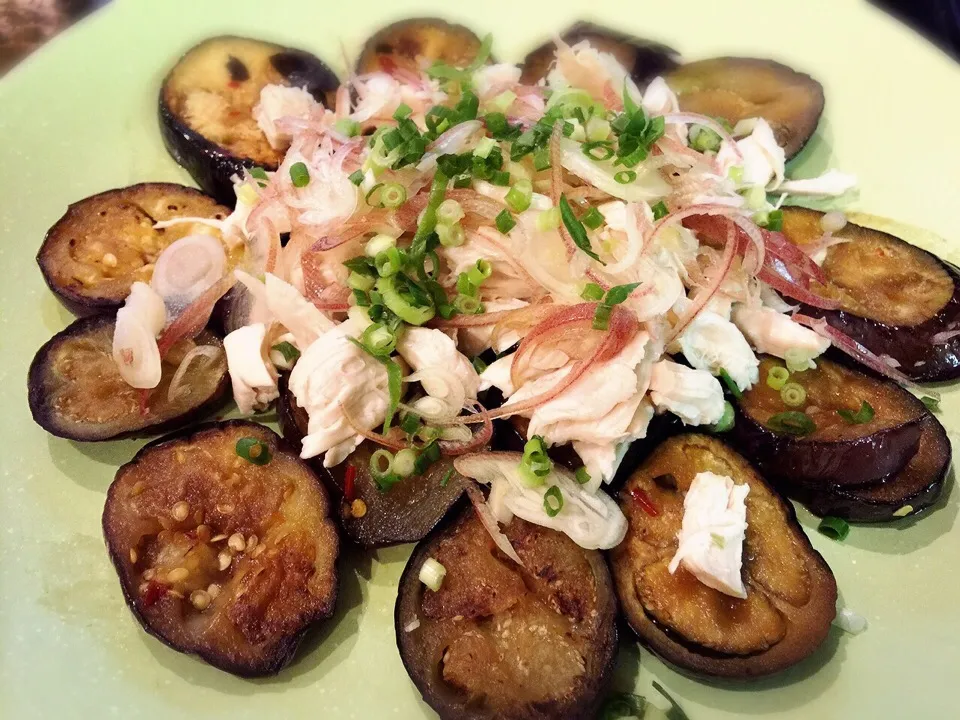 reiさんの料理 焼きナスの茹で鶏と葱のせ🍆子供の頃いちばん好きだったおかず٩꒰｡•◡•｡꒱۶  こないだからずっと気になってて、やっと作れました‼️|BUBUさん